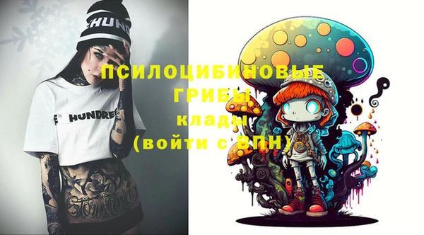 прущие крисы Елизово