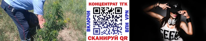 ТГК вейп  Купить закладки  Стародуб 