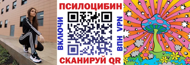 Псилоцибиновые грибы Psilocybe  Купить закладки  Стародуб 